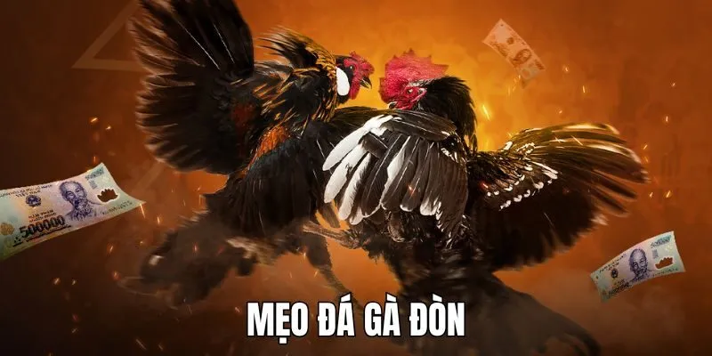 Mẹo đá gà đòn